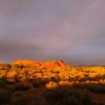 Golden Sunset from Backyard