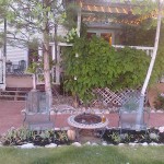 Back Yard Fire Pit