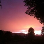 Purple Sky at the B & B