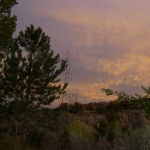 Sunset Clouds