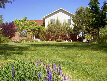 Desert Hills Bed & Breakfast Desert Hills Bed & Breakfast